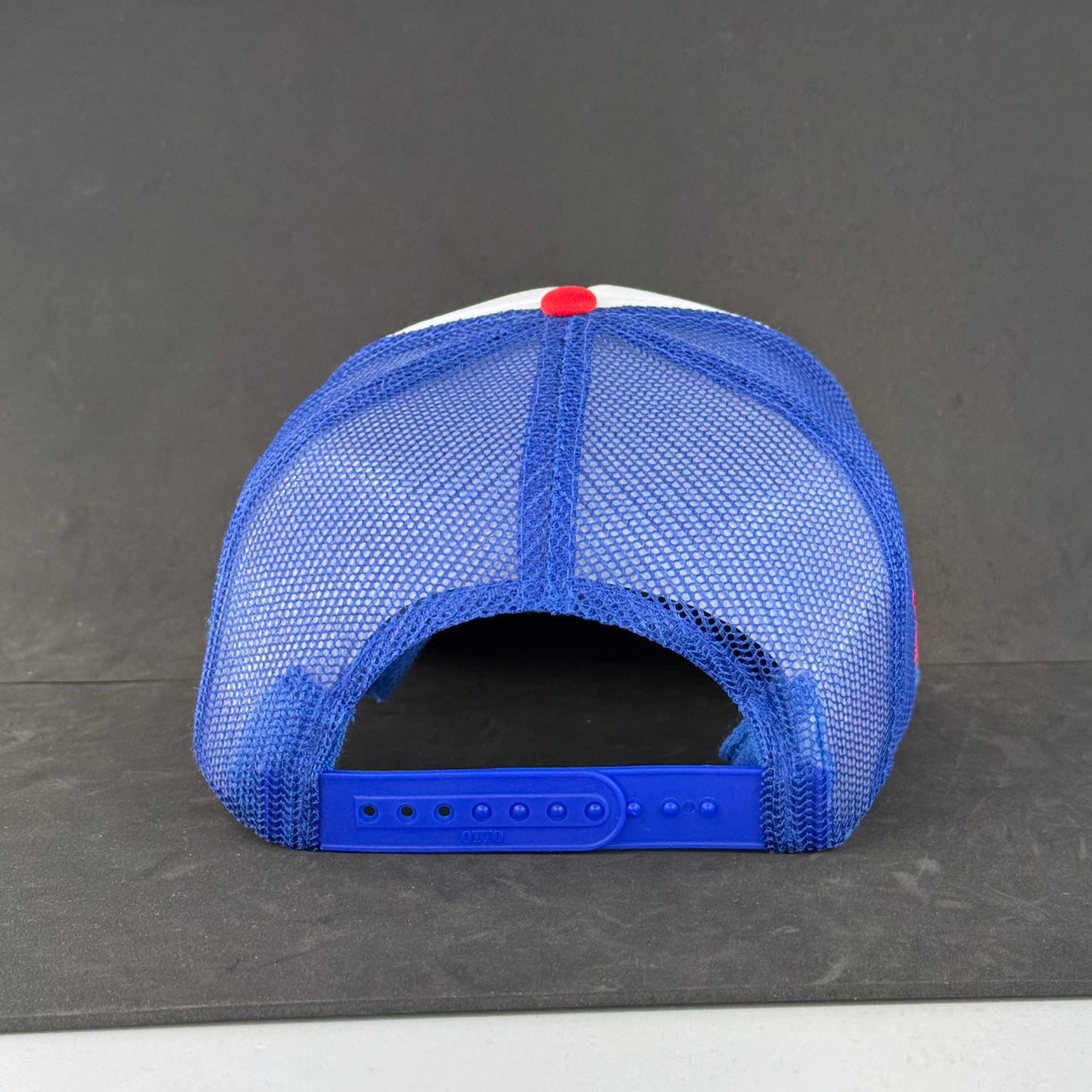 I Survived Lake Lanier Trucker Hat